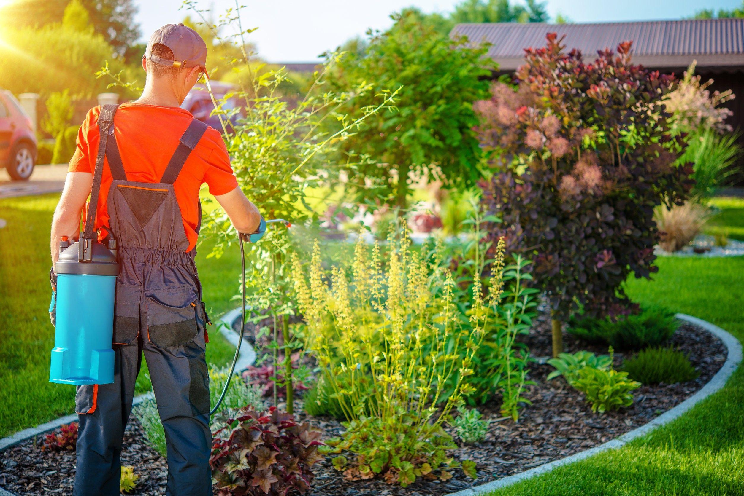 Comprehensive Outdoor Tree Care